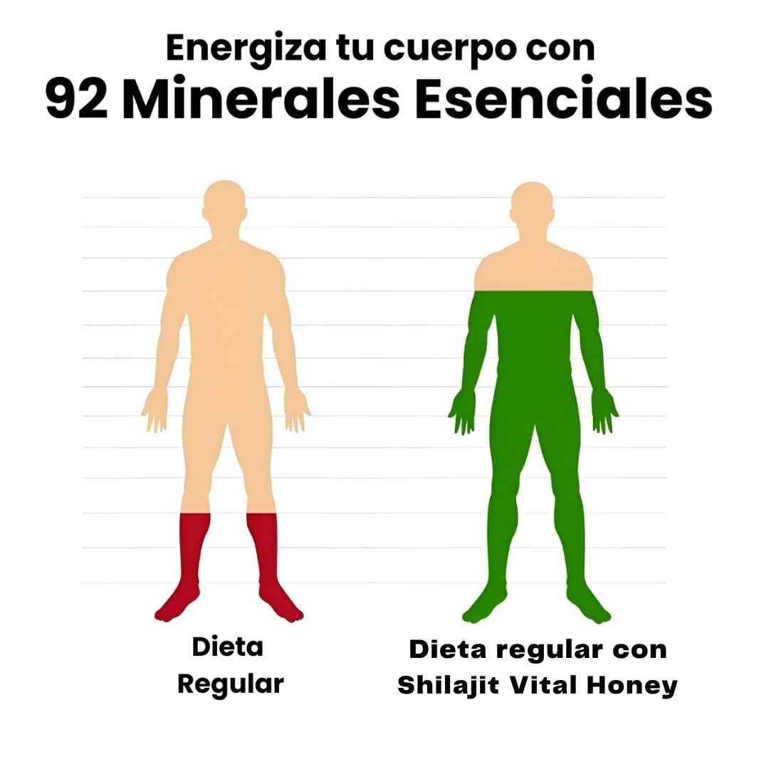 Shilajit Vital Honey - Energía Ancestral en cada sobre
